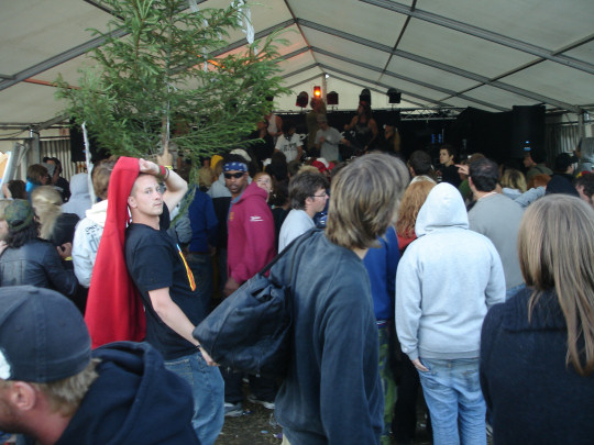 Arvikafestivalen