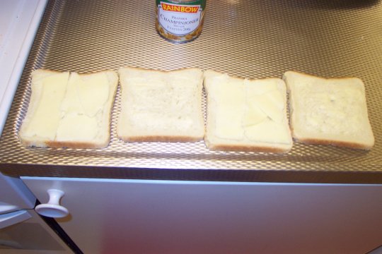Toast á la KIDney