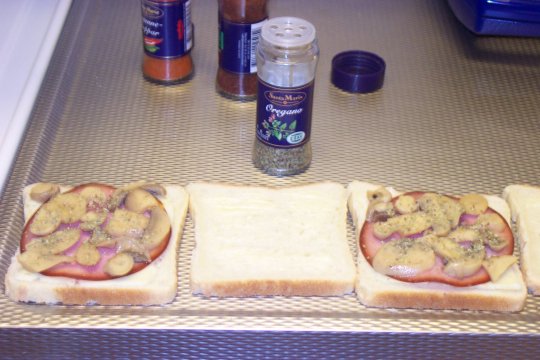 Toast á la KIDney